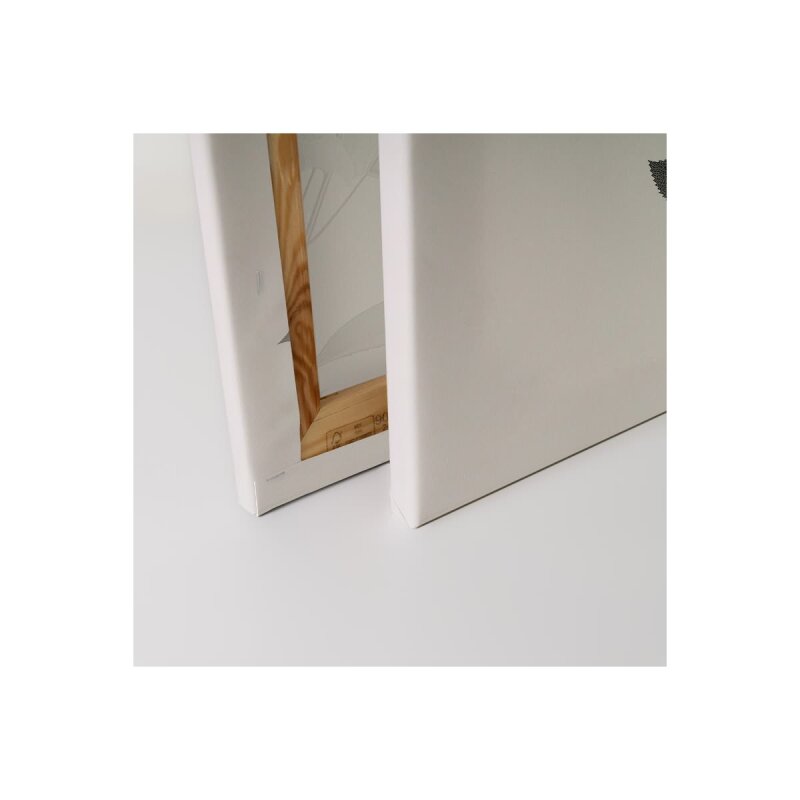 A.S. Création Leinwandbild Blumen SW 1 Größe 40cm x 50cm