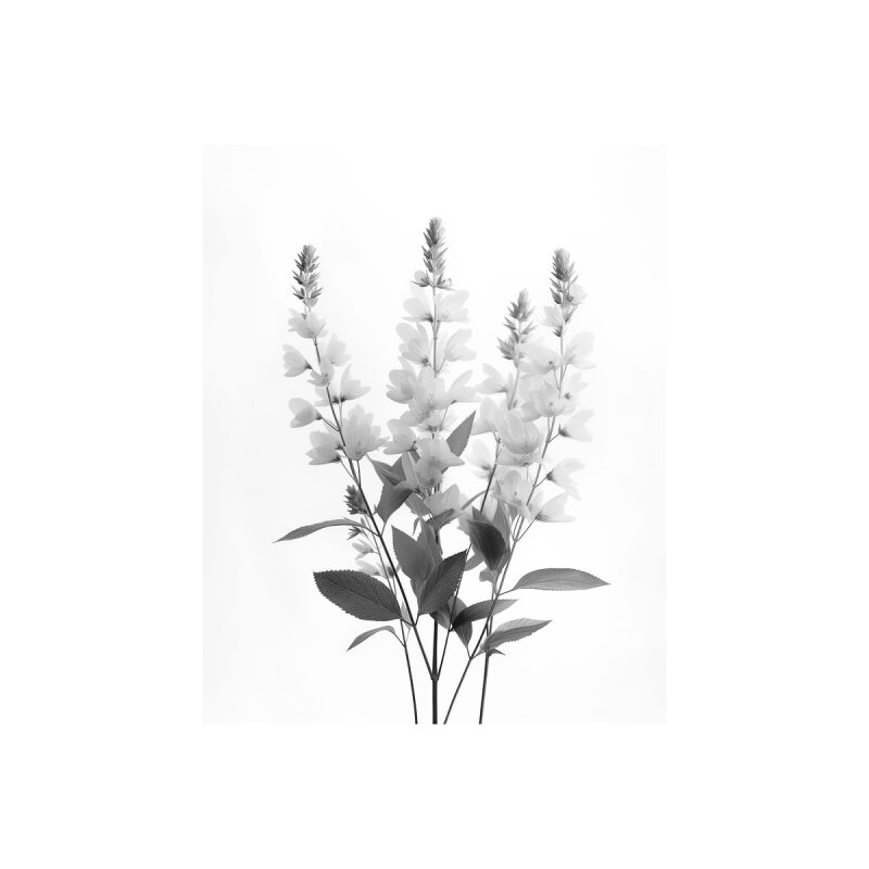 A.S. Création Leinwandbild Blumen SW 1 Größe 40cm x 50cm