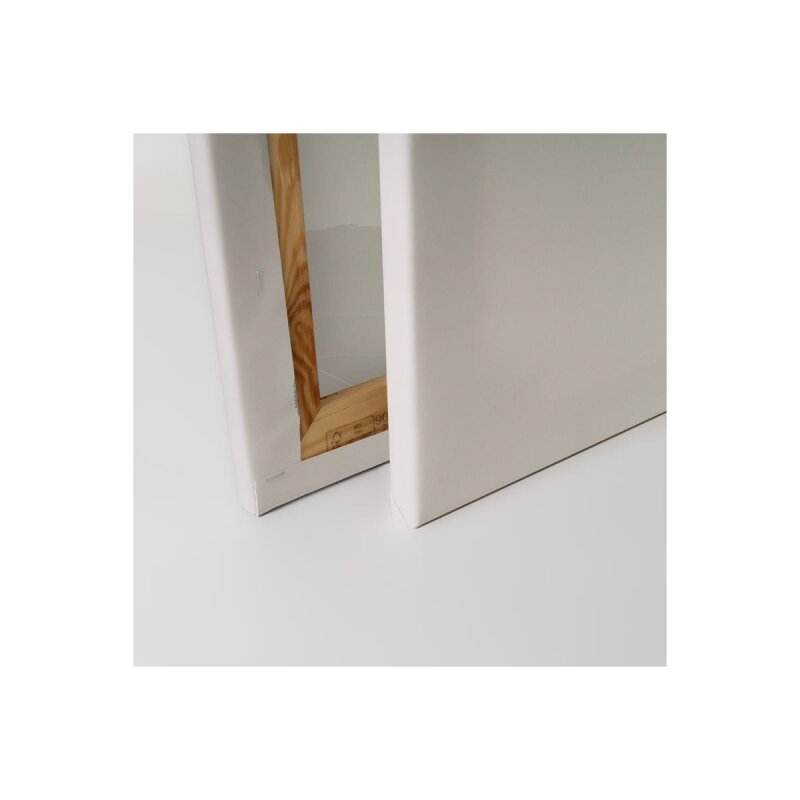 A.S. Création Leinwandbild Blumen SW 2 Größe 40cm x 50cm