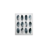 A.S. Cr&eacute;ation Leinwandbild Feathers Blue...