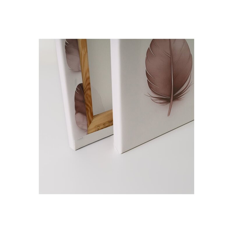 A.S. Création Leinwandbild Feathers Mauve Größe 40cm x 50cm