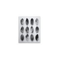 A.S. Cr&eacute;ation Leinwandbild Feathers Grey...