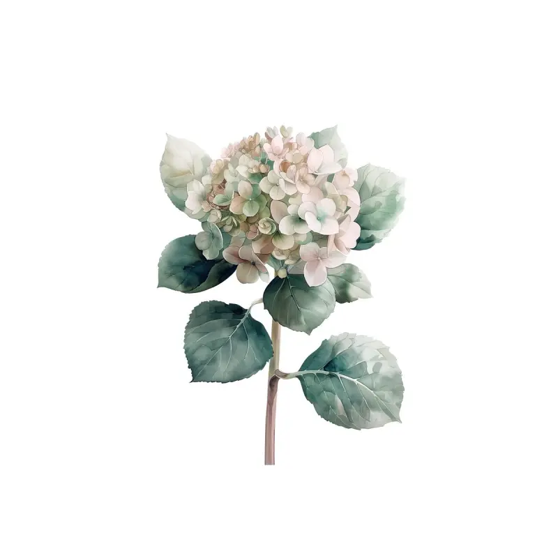 A.S. Création Leinwandbild Hortensie Rose Größe 40cm x 50cm