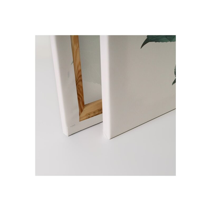 A.S. Création Leinwandbild Hortensie Blanc Größe 40cm x 50cm