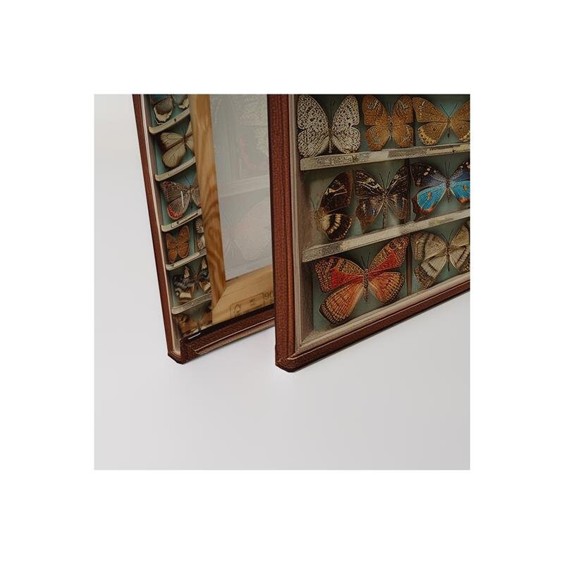 A.S. Création Leinwandbild Butterfly Box Größe 50cm x 40cm