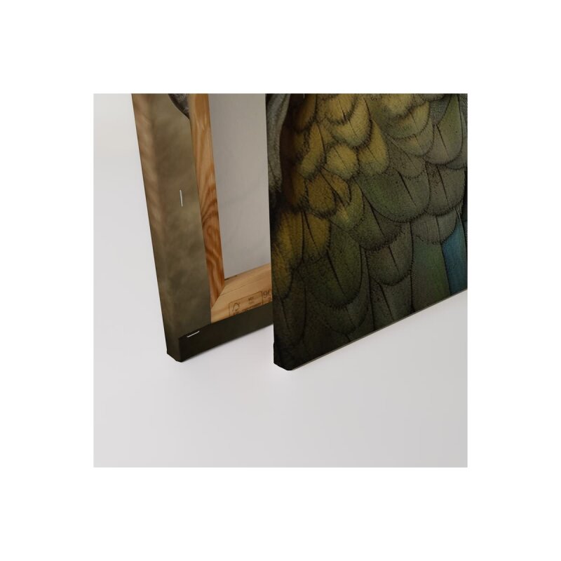 A.S. Création Leinwandbild Fantasy Parrot Orange Größe 40cm x 50cm