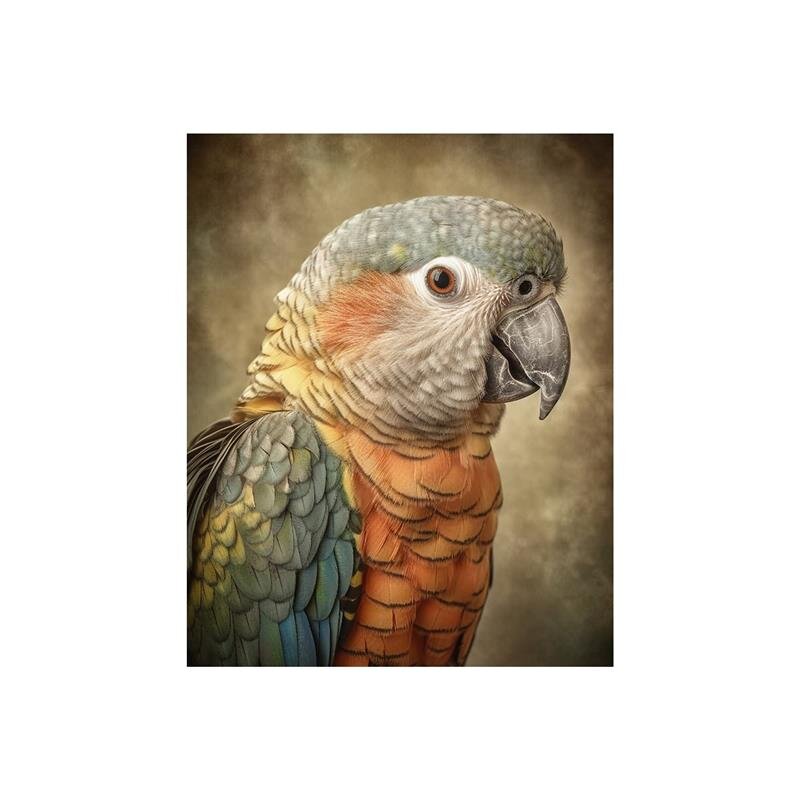 A.S. Création Leinwandbild Fantasy Parrot Orange Größe 40cm x 50cm