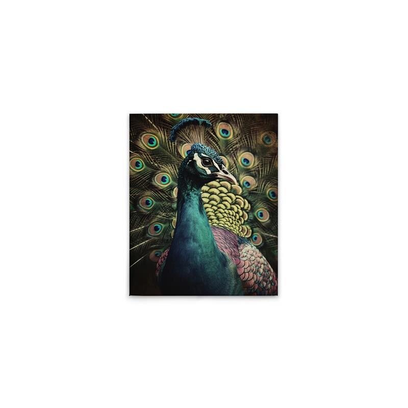 A.S. Création Leinwandbild Peacock Portrait Größe 40cm x 50cm