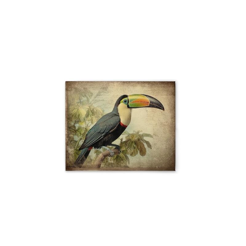 A.S. Création Leinwandbild Toucan Vintage Größe 40cm x 50cm