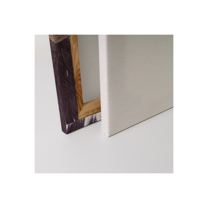 A.S. Création Leinwandbild Black Buffalo