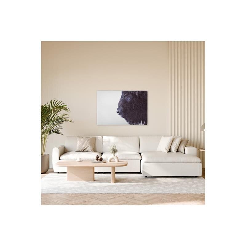 A.S. Création Leinwandbild Black Buffalo