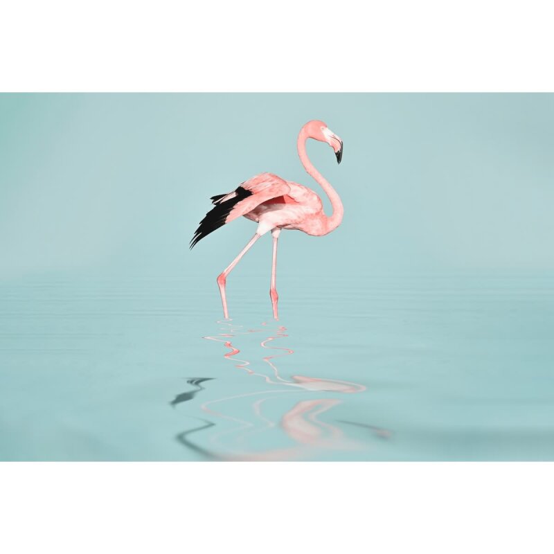 A.S. Création Leinwandbild Flamingo Water