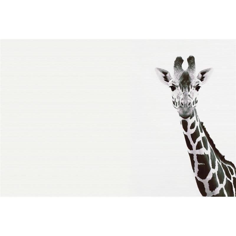 A.S. Création Leinwandbild Giraffe Portrait