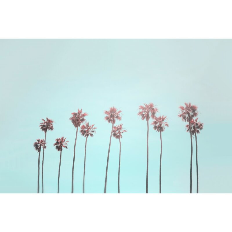 A.S. Création Leinwandbild Tropical Trees