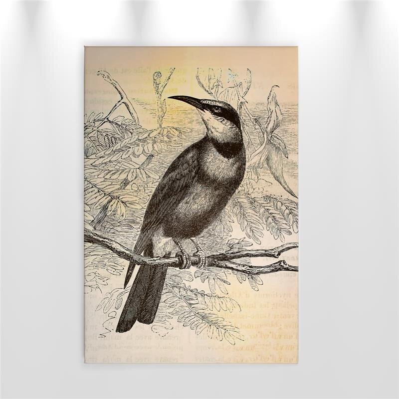 A.S. Création Leinwandbild vintagebirds2