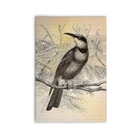 A.S. Création Leinwandbild vintagebirds2