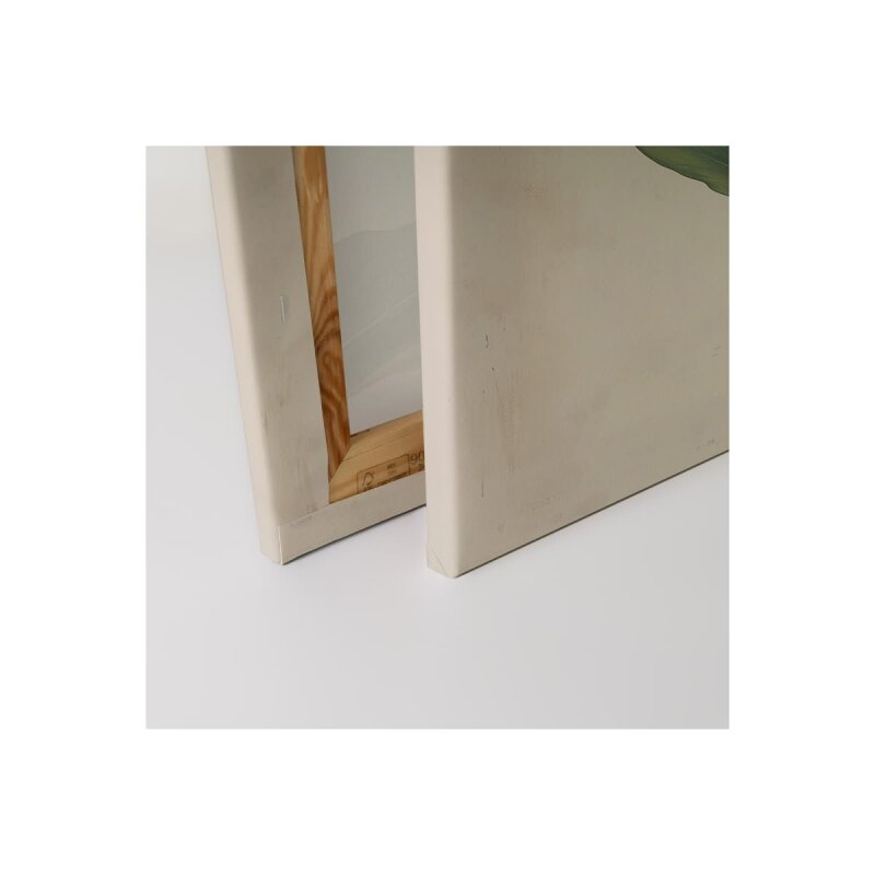 A.S. Création Leinwandbild Artischocke