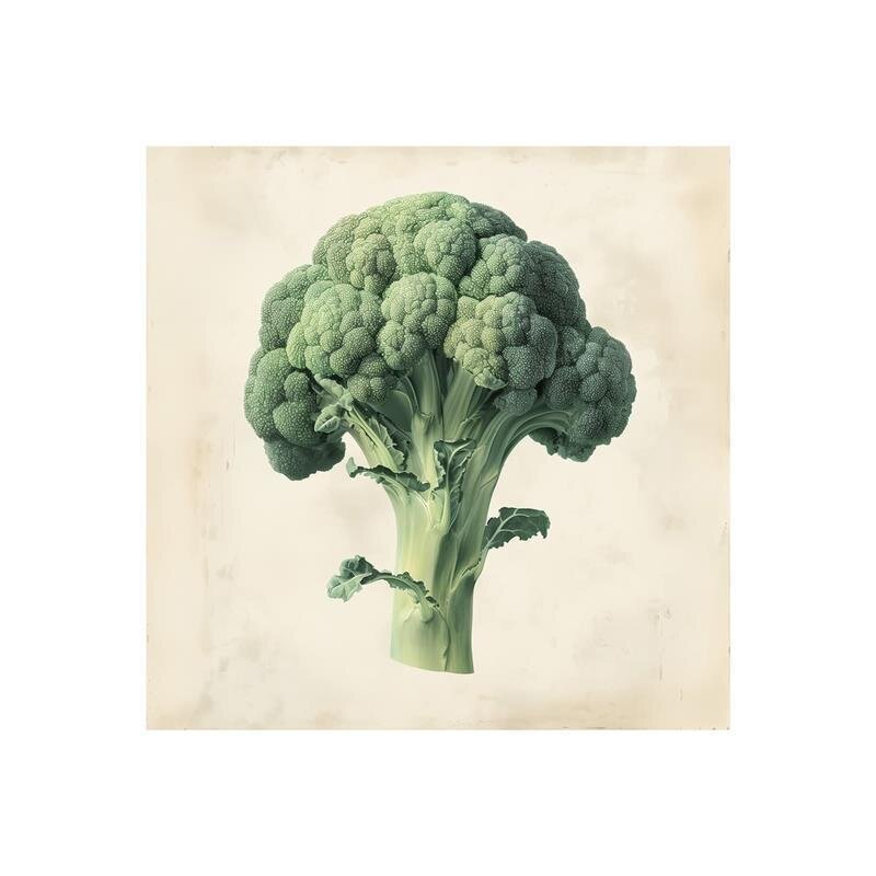 A.S. Création Leinwandbild Brokkoli