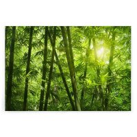 A.S. Création Leinwandbild Bambusnatur