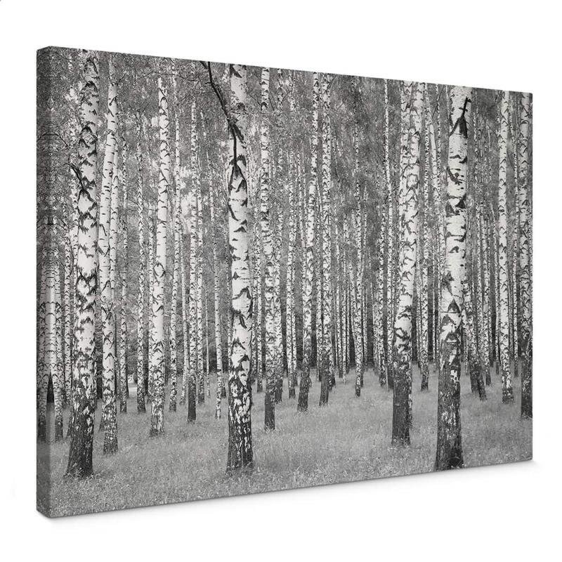 A.S. Création Leinwandbild Birch Forest