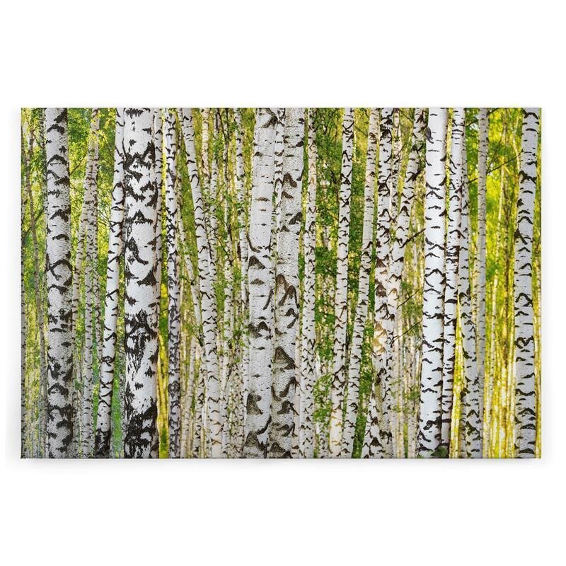 A.S. Création Leinwandbild BirchForest