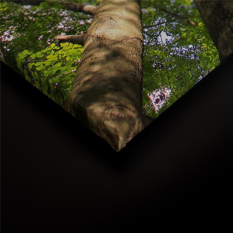 A.S. Création Leinwandbild Blätterdach