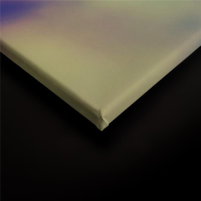 A.S. Création Leinwandbild Dandelion2