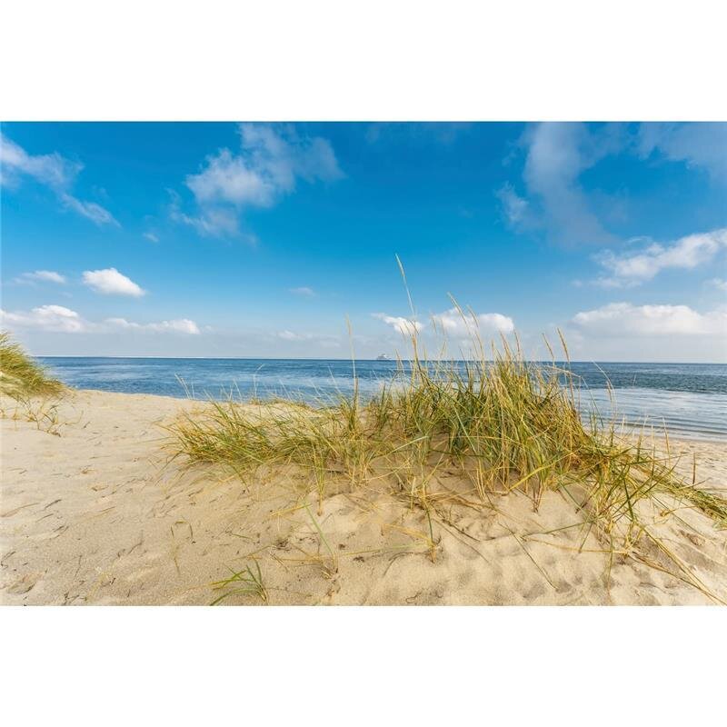 A.S. Création Leinwandbild Dünenstrand