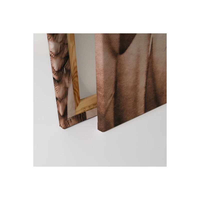 A.S. Création Leinwandbild Feathers 1