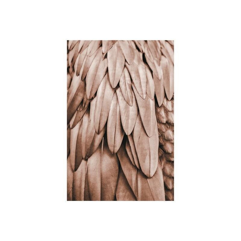 A.S. Création Leinwandbild Feathers 1