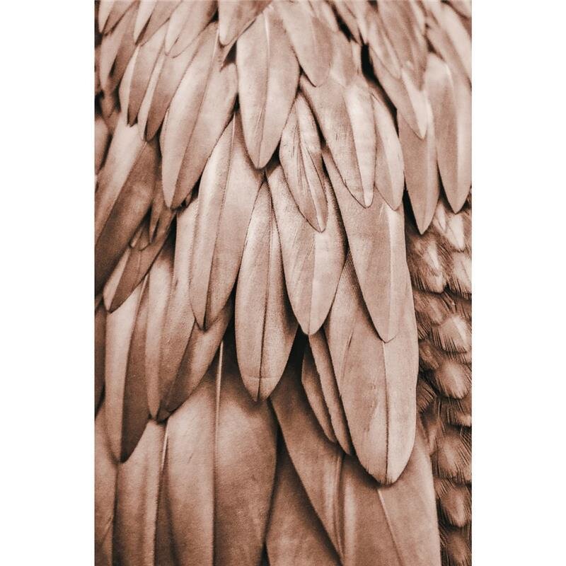 A.S. Création Leinwandbild Feathers1