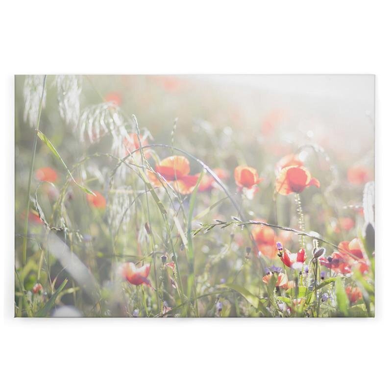 A.S. Création Leinwandbild Mohnblumen