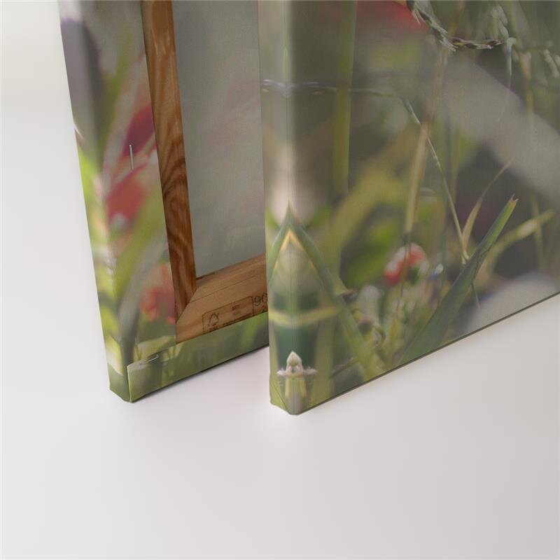 A.S. Création Leinwandbild Mohnblumen