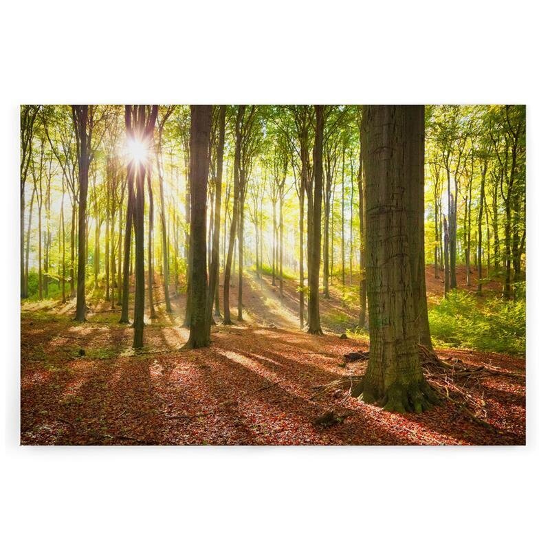A.S. Création Leinwandbild SonneimWald