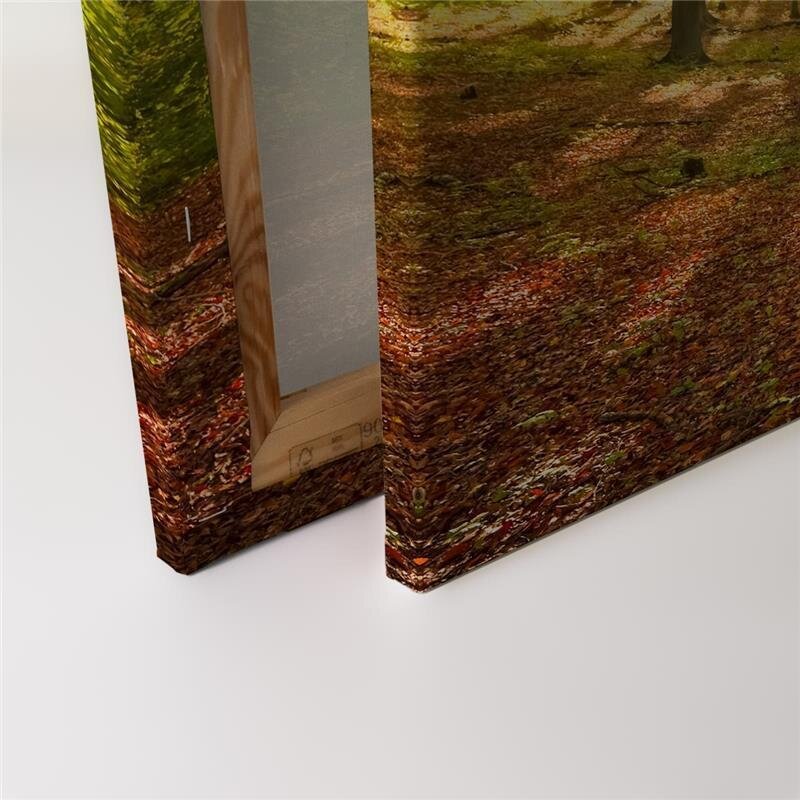 A.S. Création Leinwandbild SonneimWald