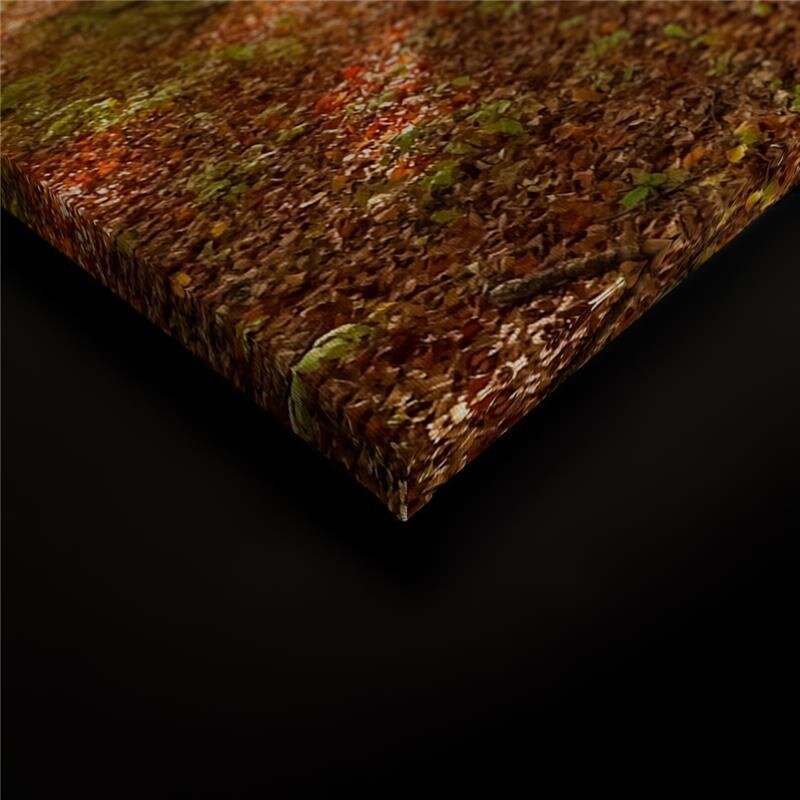 A.S. Création Leinwandbild SonneimWald