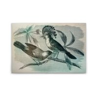 A.S. Cr&eacute;ation Leinwandbild vintagebirds1