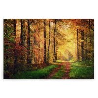 A.S. Création Leinwandbild WaldwegHerbst