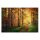 A.S. Création Leinwandbild WaldwegHerbst
