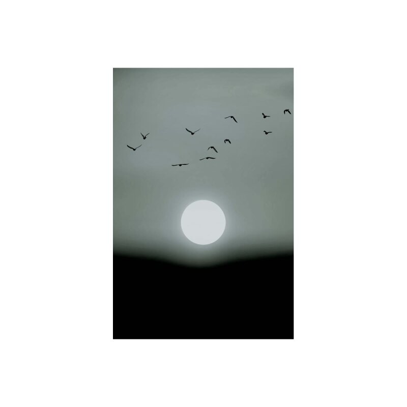 A.S. Création Leinwandbild Winter Lights