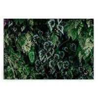 A.S. Création Leinwandbild deepgreen2...