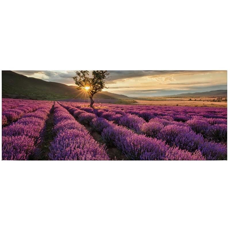 A.S. Création Leinwandbild Lavender Größe 100cm x 40cm