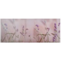 A.S. Cr&eacute;ation Leinwandbild Lavender 2...