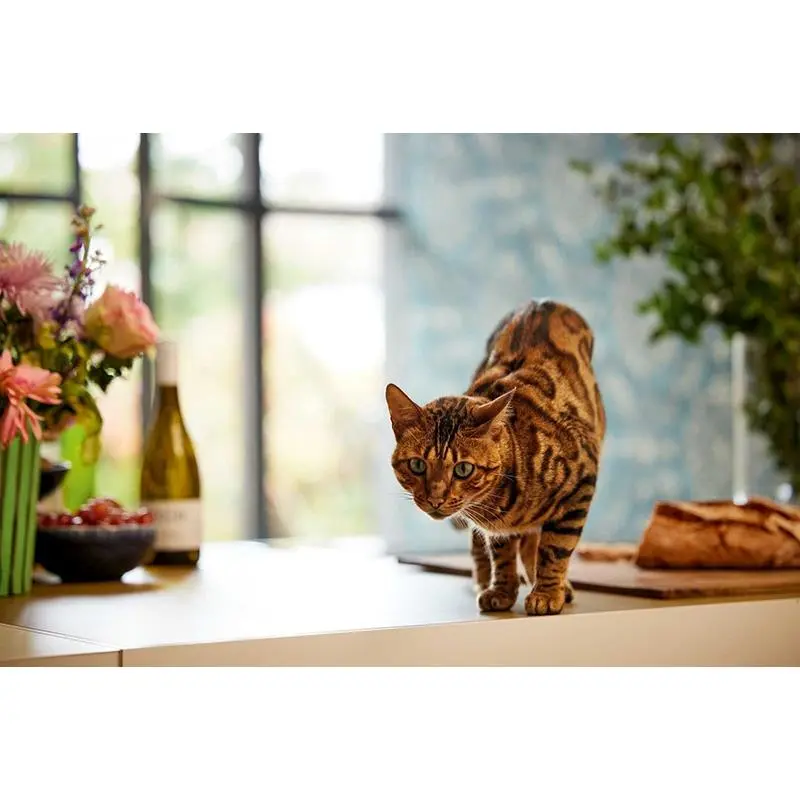 Tapete Blau, Gold, Kupfer livingwalls Vliestapete (1039727)