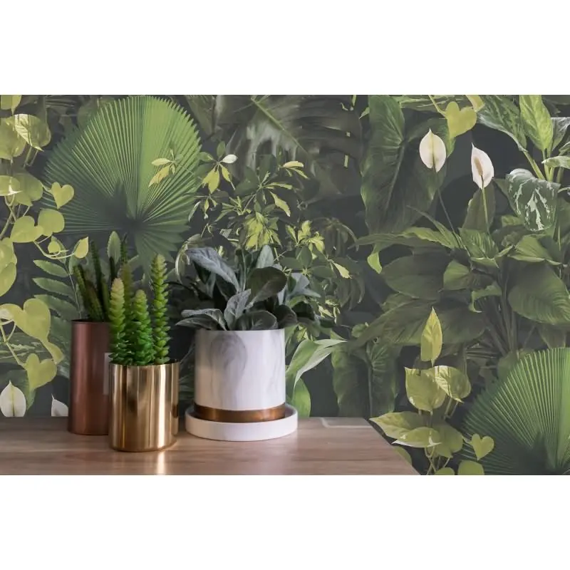 Dschungel-Tapete Dunkelgrün - Vliestapete tropisch - Mustertapete mit Pflanzenmotiv AS-Creation (KG-174812)