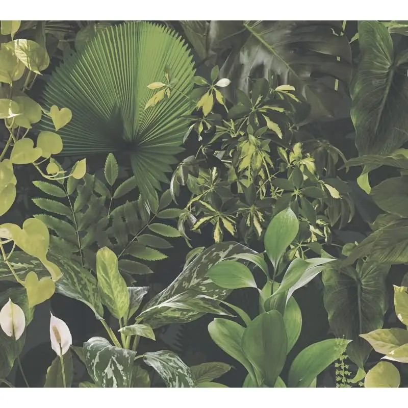 Dschungel-Tapete Dunkelgrün - Vliestapete tropisch - Mustertapete mit Pflanzenmotiv AS-Creation (KG-174812)