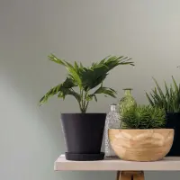 Vliestapete Uni, Struktur Uni Modern matt Novamur...