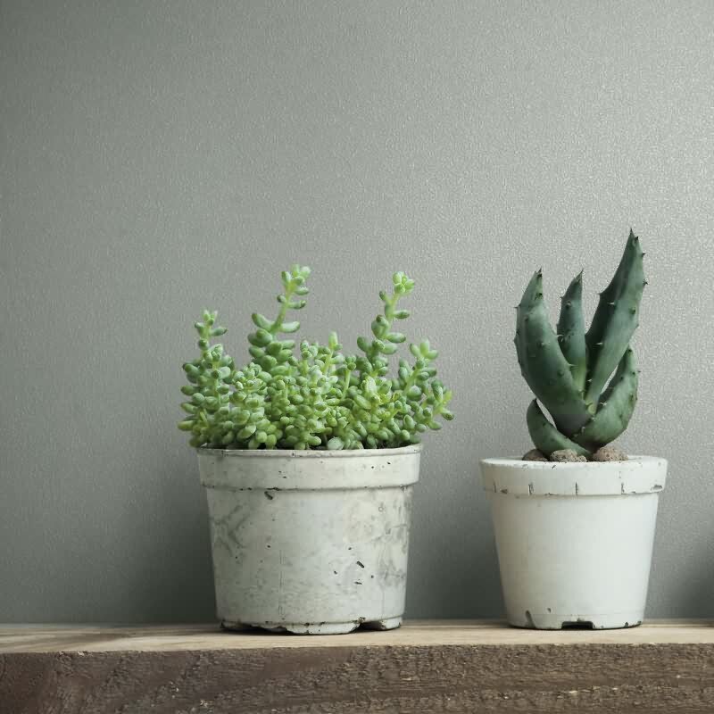 Vliestapete Uni, Struktur Uni Modern matt Novamur (KG-175264)