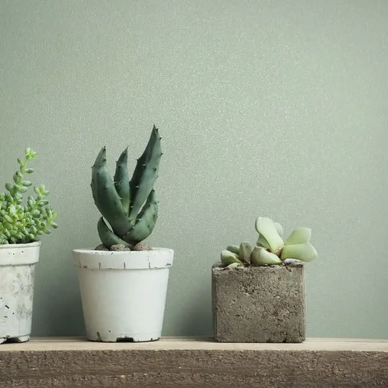 Vliestapete Uni, Struktur Uni Modern matt in Grün Novamur (KG-175271)