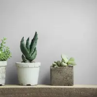 Vliestapete Uni, Struktur Uni Modern matt in Wei&szlig;...